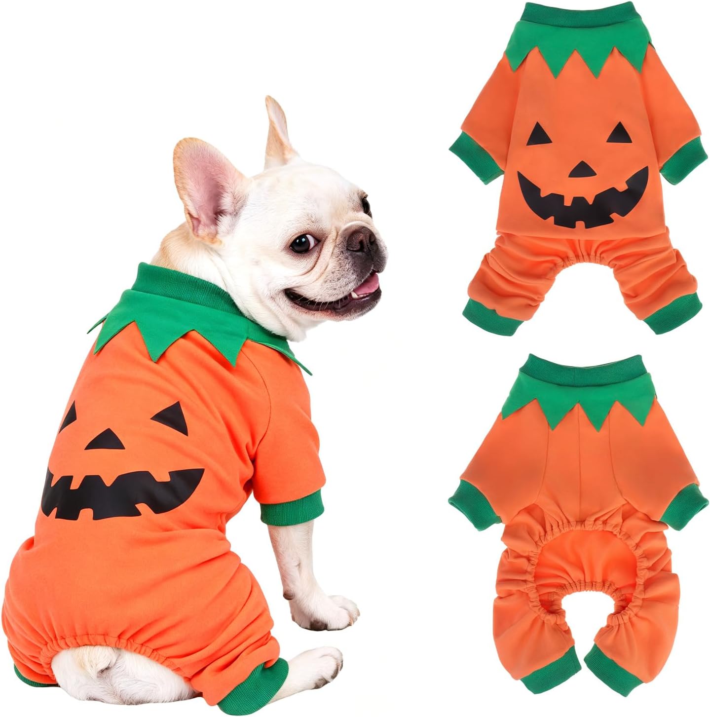 Dog wearing an orange pumpkin costume with a green collar and a black jack-o-lantern face on the back.