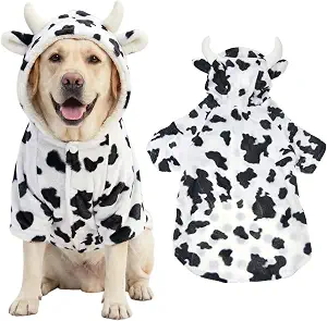 Dog wearing a white and black spotted cow costume with a hood and small horns.
