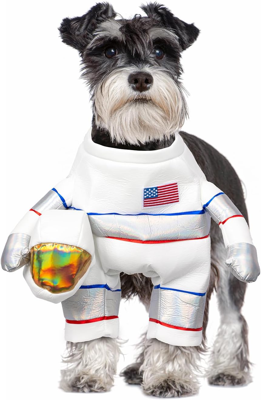 Small dog wearing a white and silver astronaut costume with flag patch.