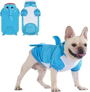 Dog wearing a blue shark costume with a white belly and dorsal fin.