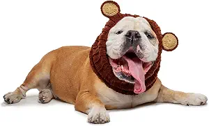Dog wearing a brown knit bear hood with round ears.
