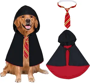 Golden retriever wearing a black hooded cape with a red lining and a striped house tie.