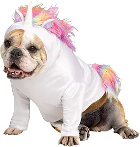 Dog wearing a white unicorn costume hoodie with a rainbow mane, gold horn, and matching rainbow tail.